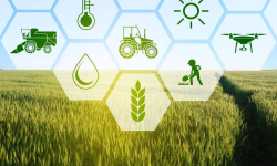 Featured image of post Agriculture