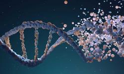 Featured image of post Bioinformatics