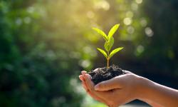 Featured image of post Environmental