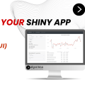 Advancing Your Shiny Application II
