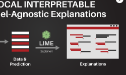 Featured image of post Interpreting Classification Model with LIME
