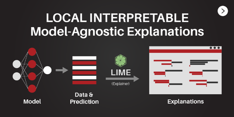 Featured image of post Interpreting Classification Model with LIME