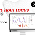 Quantitative Trait Locus (QTL) Mapping for Disease Resistance