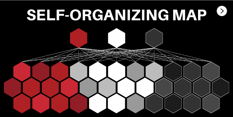 Featured image of post Self-Organizing Maps
