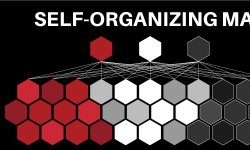 Featured image of post Self-Organizing Maps